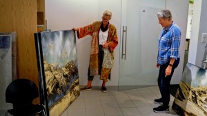 The art collections of Viking Octantis and Viking Polaris