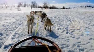 Anne Diamond interviews Dog Musher Thomas Wærner
