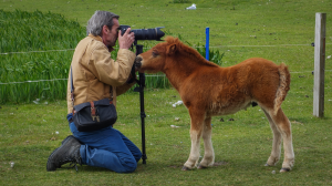 British photographer Alastair Miller shares his favorite images from his travels with Viking