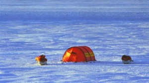 Chapter 11 - A Narrow Escape