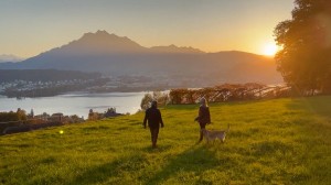 Journeying to Switzerland: Black Forest to Basel and Lucerne