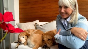 This week: Capitals of Eastern Europe