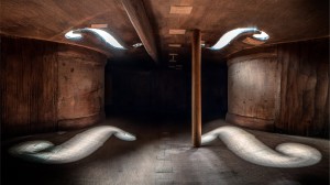 Anne Diamond learns the art of photography with Charles Brooks