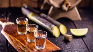 Delve into rum production at the Ron del Barrilito distillery