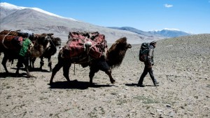 Anne Diamond interviews author Levison Wood
