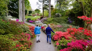 Visit Bodnant Garden and Snowdonia in Wales with Paul Hervey-Brookes 