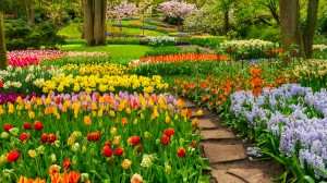 Marvel at colorful blooms at the renowned Keukenhof Gardens in the Netherlands