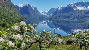 Uncover the secrets of Norwegian cider with Nevada Berg
