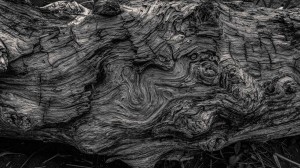 Yoga Nidra (Good Night)