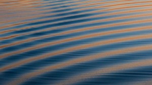 A Short Break In The Day