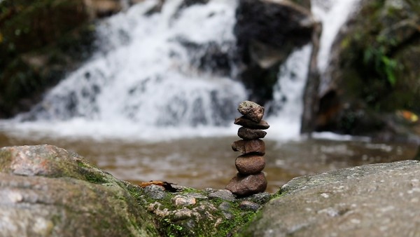 Meditation: Mindfulness with Mona Therese