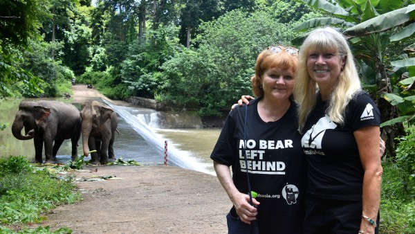 Join Animals Asia’s founder Jill Robinson in conversation with Downton Abbey star Lesley Nicol