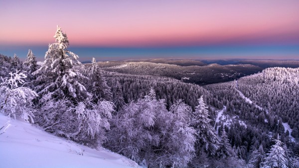 Savor regional specialities from Breisach to Basel