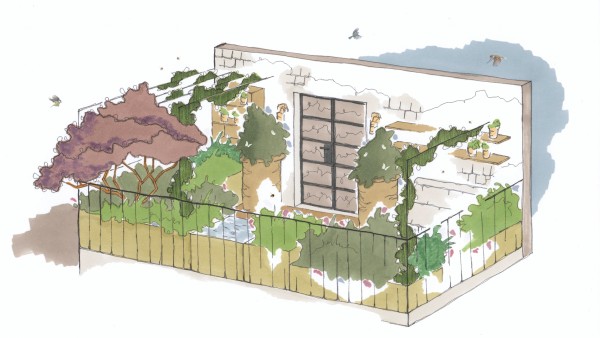 Anne Diamond interviews garden designer Christina Cobb