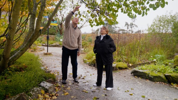 Anne Diamond interviews horticulturalist Tom Hart Dyke
