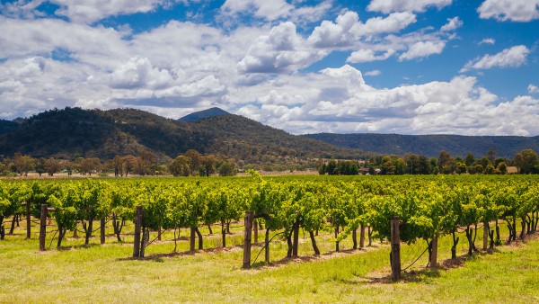 Raise a glass to Sydney’s Hunter Valley with winemaker Savannah Peterson 