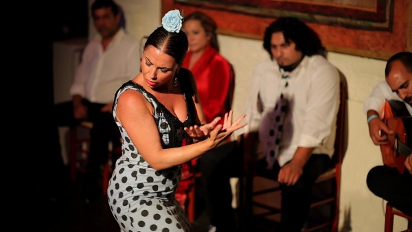 Catch The Fire of Flamenco