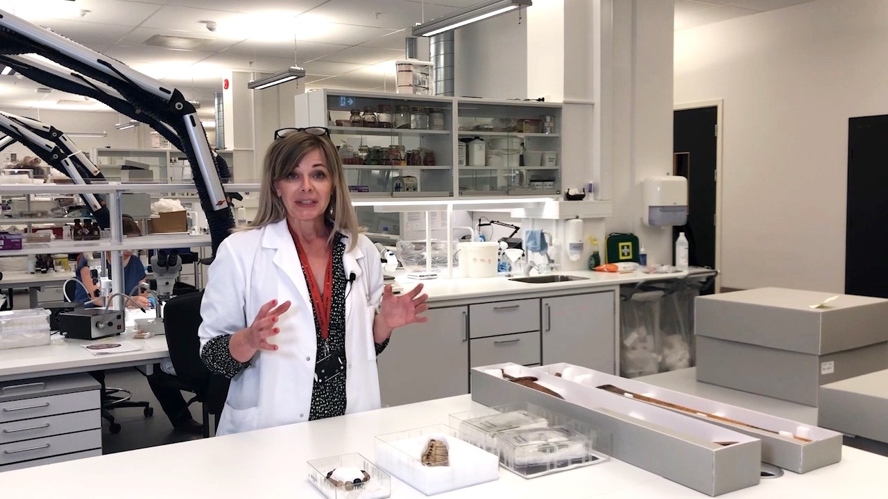 Viking Ship Museum: Taking Care of the Viking Legacy)