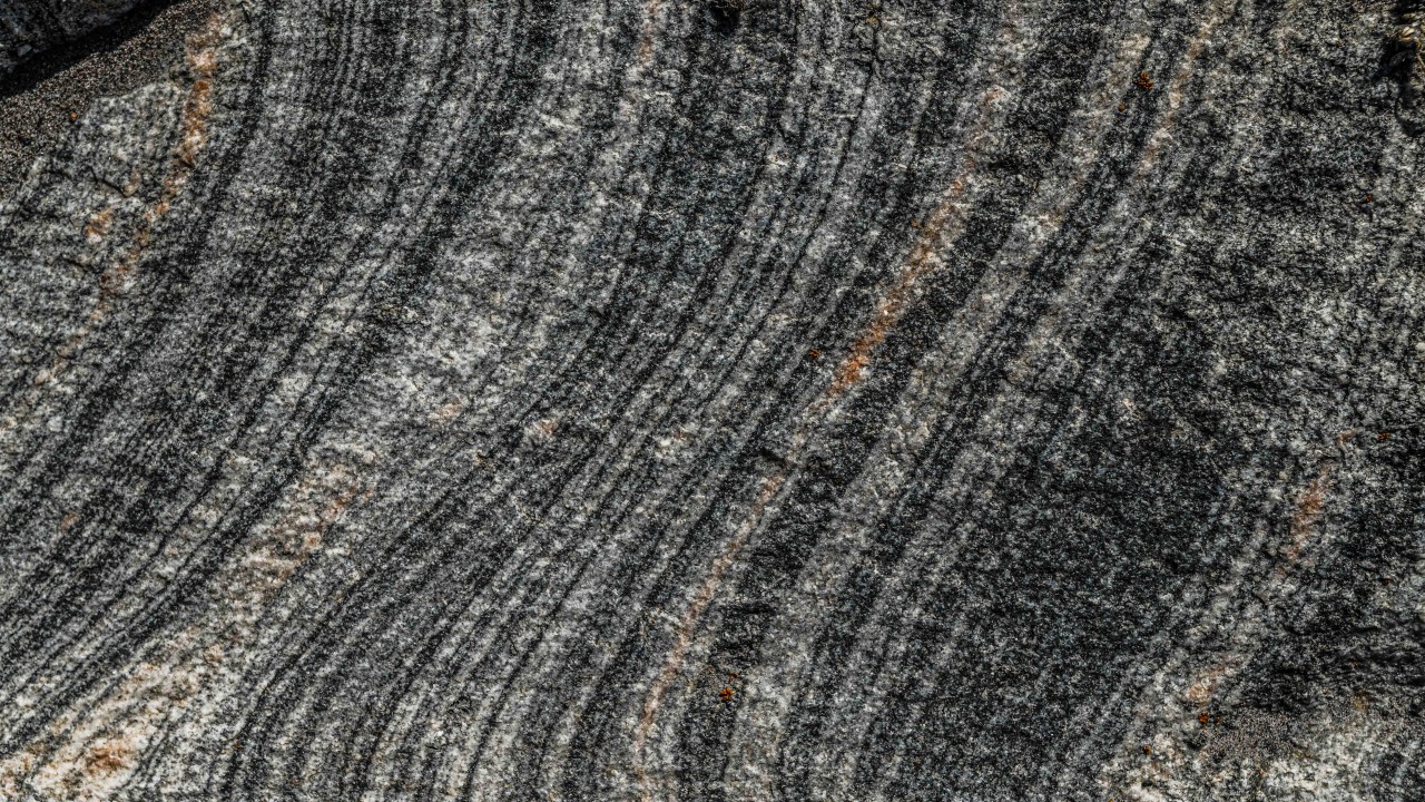 The Five Senses Meditation