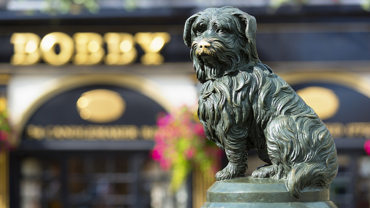 Extraordinary Dogs Around the World)