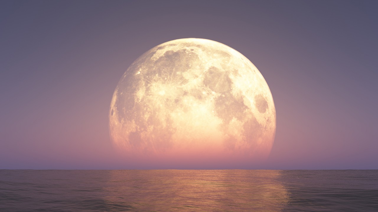 Special episode: Space tourism with guest lecturer Kyle Acierno)