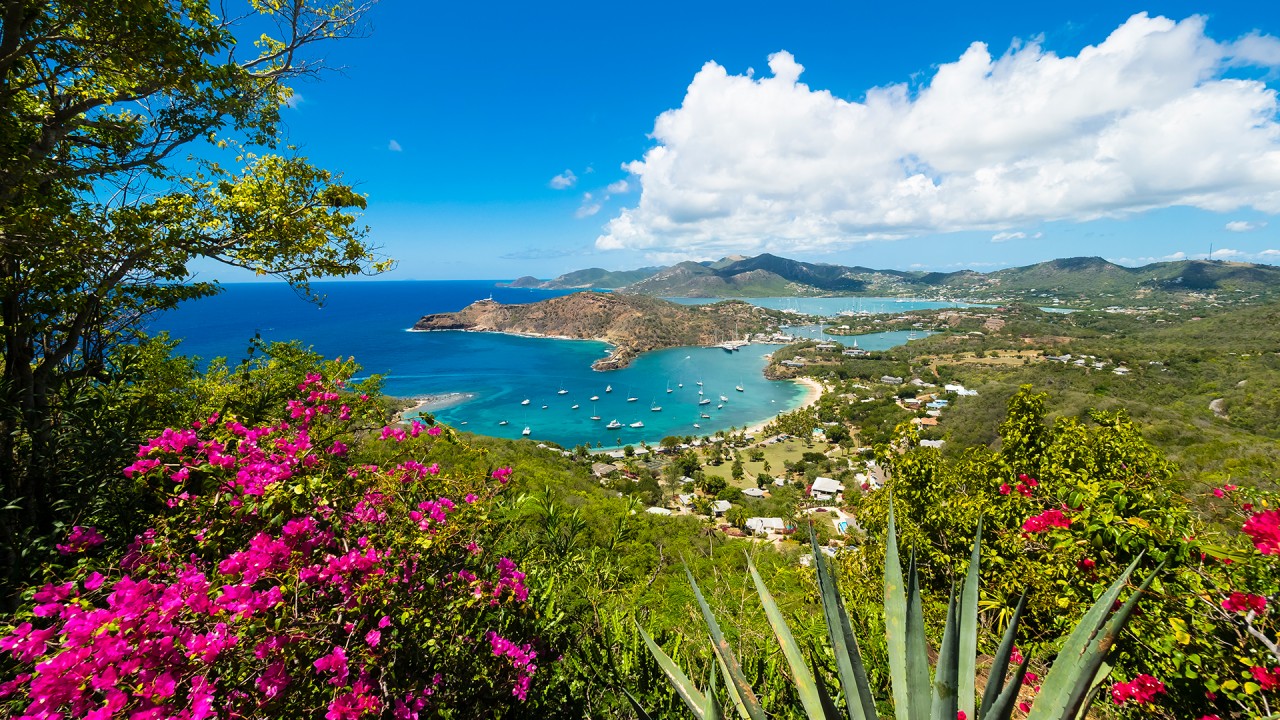 Anne Diamond shares highlights from her Caribbean voyage)