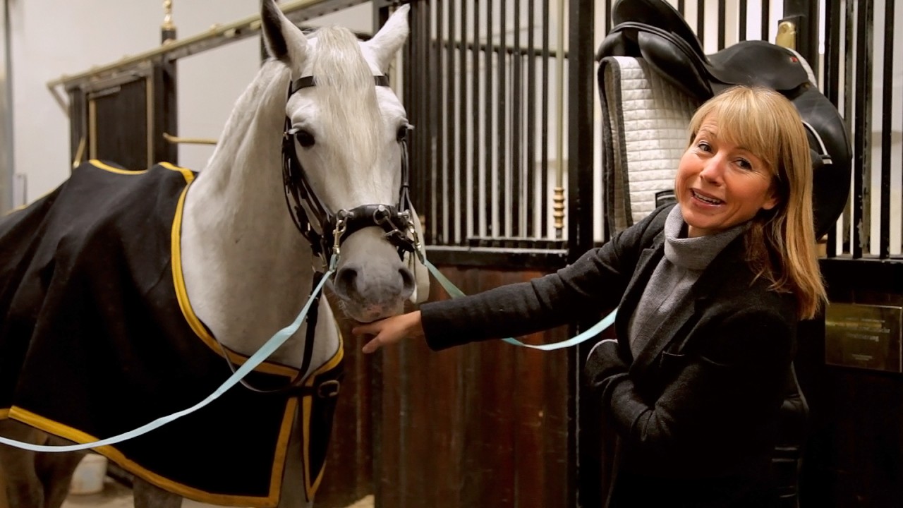 Top 10 shore excursions to enjoy along the Danube with Viking’s Karine Hagen)