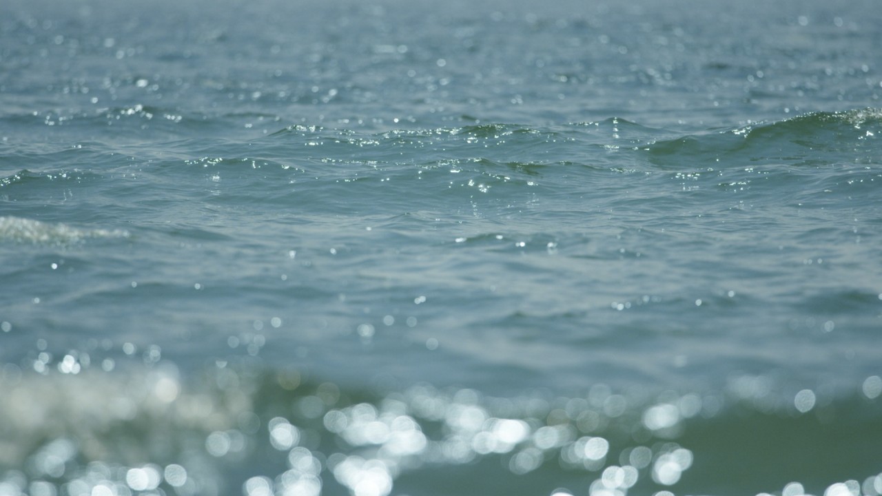 Meditation: Mindfulness with Mona Therese, Who Am I)