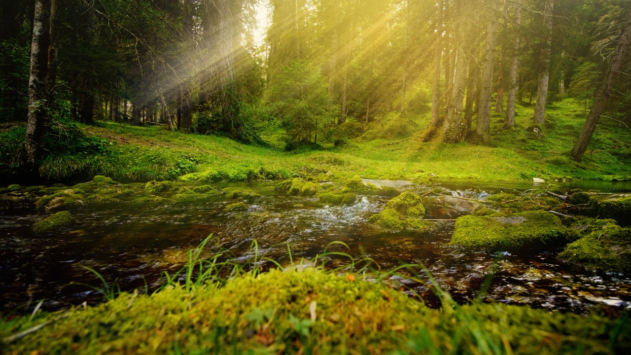 Meditation: Mindfulness with Mona Therese, The Five Senses Meditation)