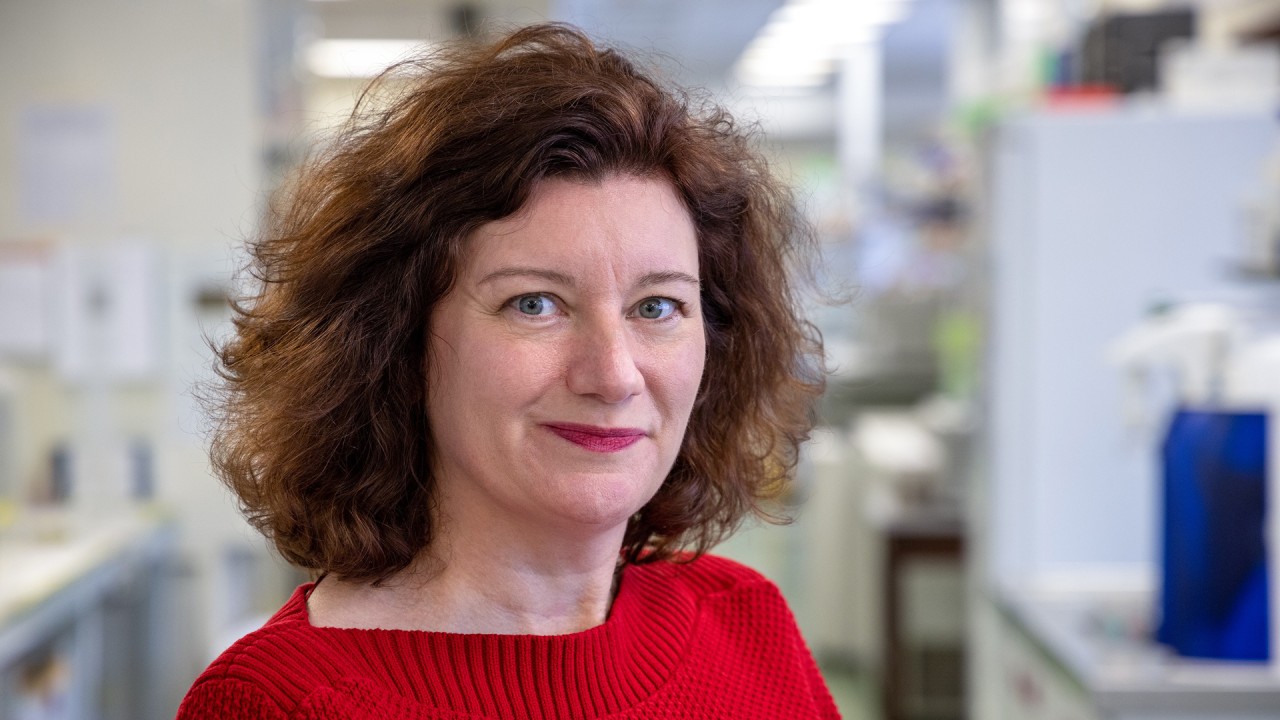 Anne Diamond interviews Professor Turi King)