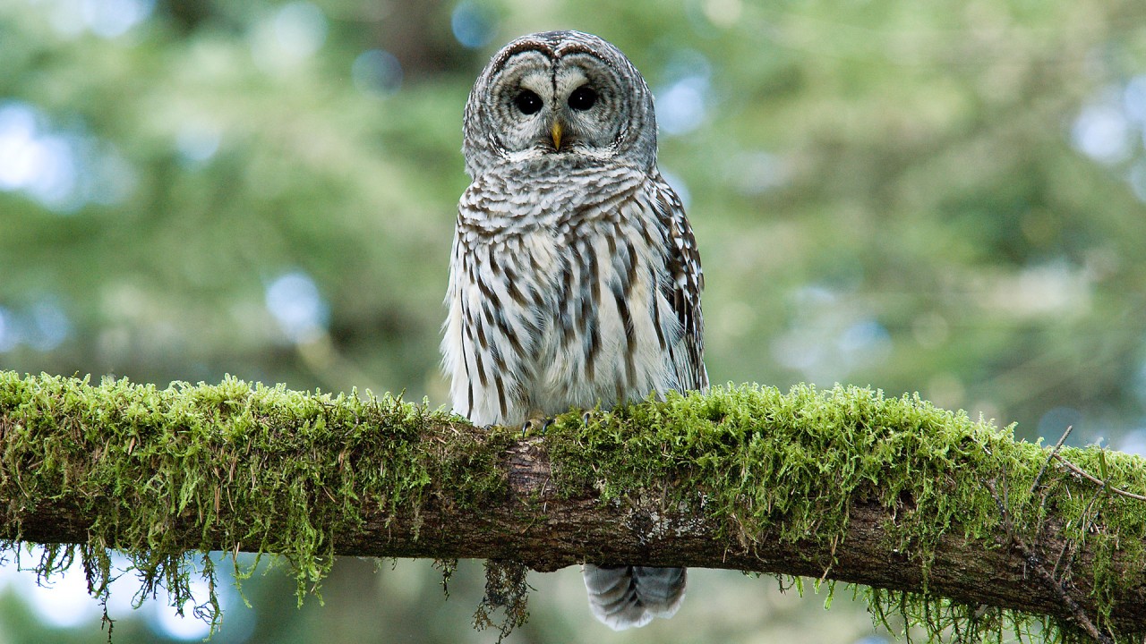 Immerse yourself in nature with photographer George Sranko)