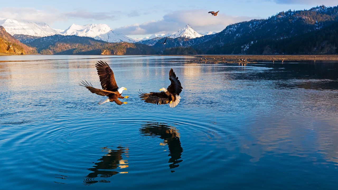 Discover our Alaska & the Inside Passage itinerary with Viking’s Joost Ouendag)