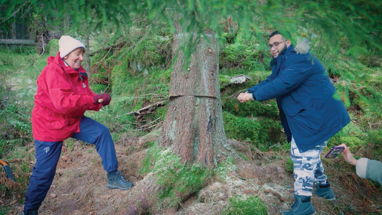 Marvel at the Trafalgar Square Christmas Tree in London)