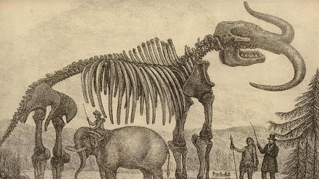 The British Museum: Examining America's Fossils with Dr. Jill Cook)