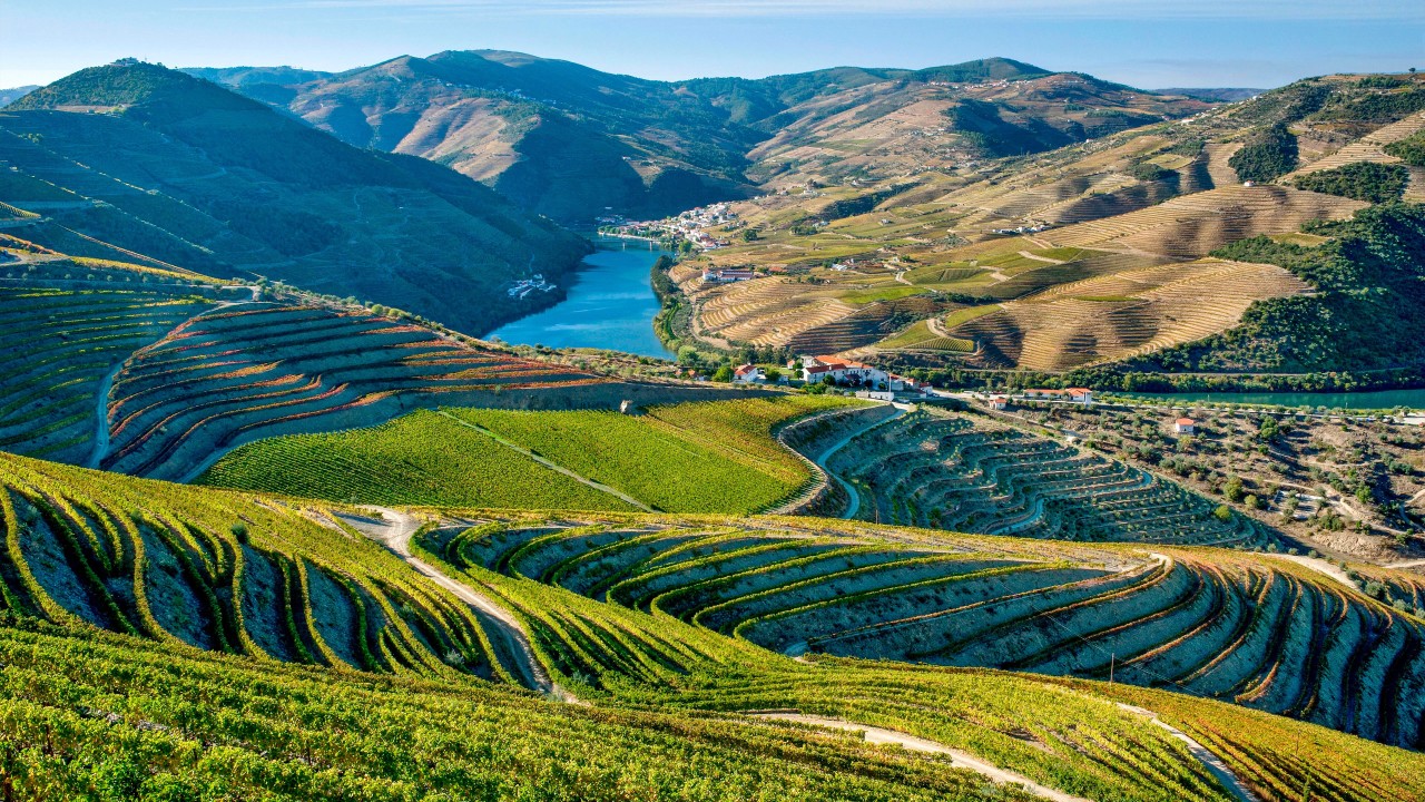 Discover the Douro River's Treasures