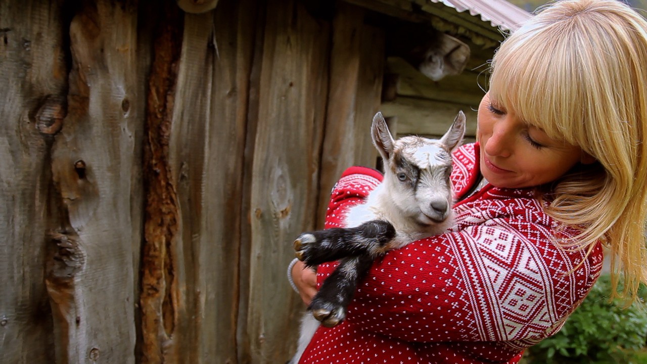 Gjetost - Norwegian Goat Cheese)